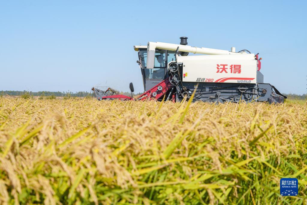 捕鱼游戏赚钱原理